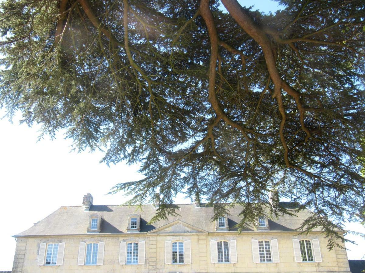 Bed & Breakfast Chateau Les Cedres Bretteville-l'Orgueilleuse Exterior photo