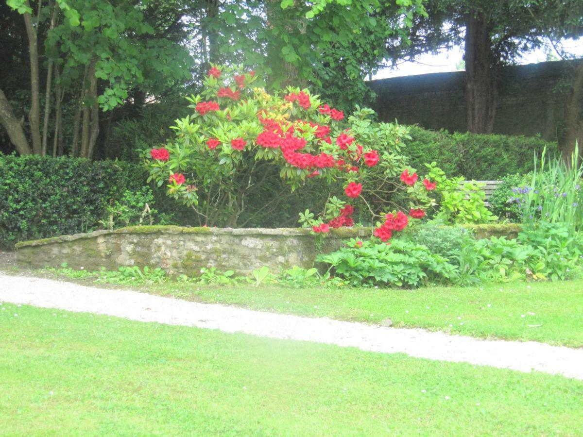 Bed & Breakfast Chateau Les Cedres Bretteville-l'Orgueilleuse Exterior photo